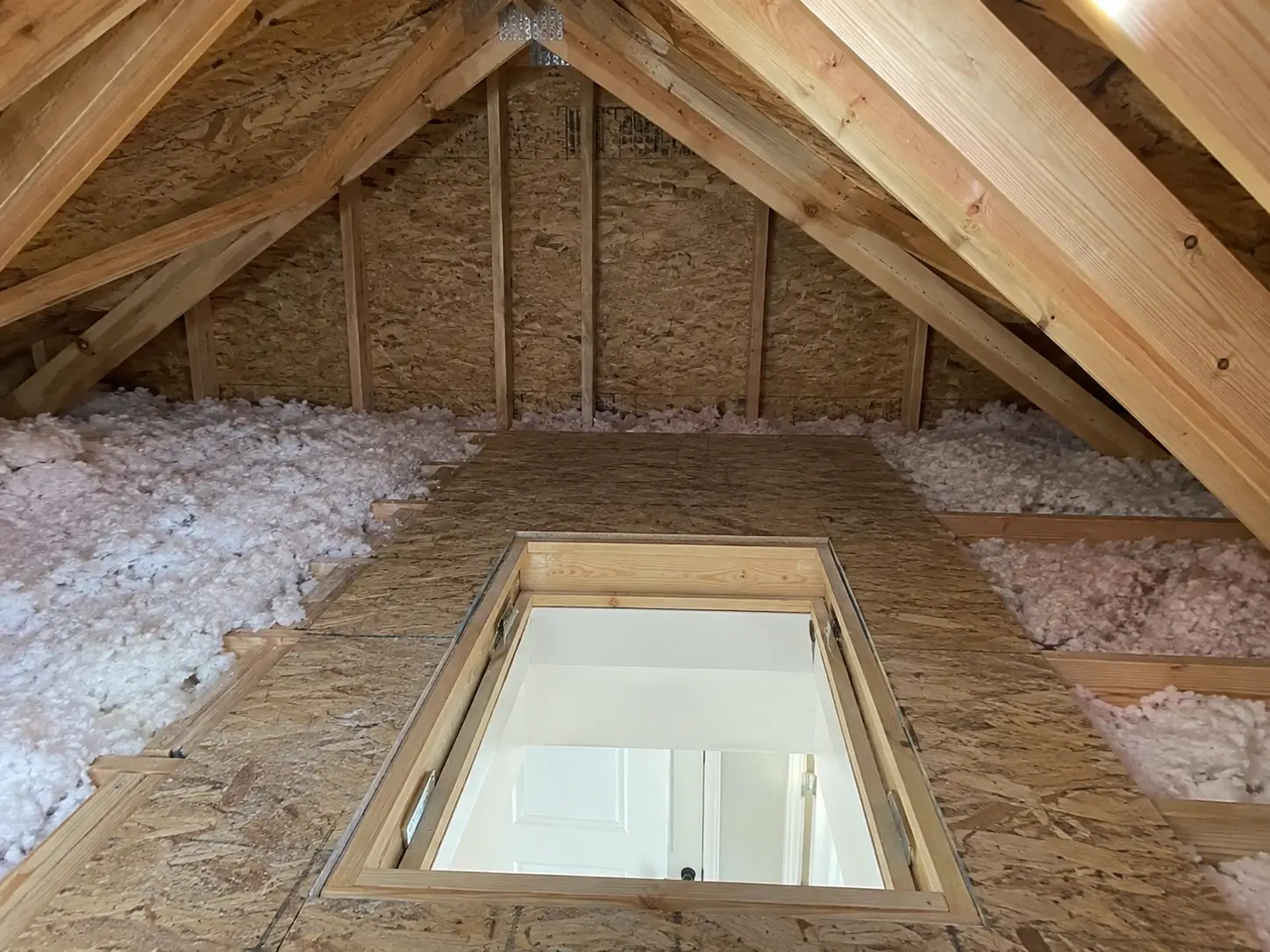 Example attic access photo